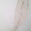 Pintar Departamento