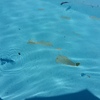 Remodelación Parcial Piscina
