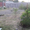 Pasto Natural