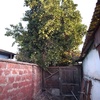 Poda Y Tala De árboles