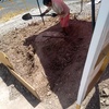 Poda Y Tala De árboles