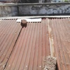 Ampliar Casa