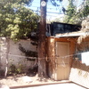 Poda Y Tala De árboles