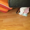 Pequeños Trabajos Carpinteros