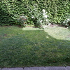 Pasto Sintético