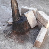 Poda Y Tala De árboles