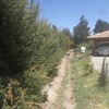 Poda Y Tala De árboles