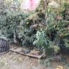 Pequeños Trabajos Jardinería