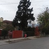 Poda Y Tala De árboles