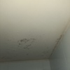 Pintar Departamento