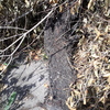 Retiro de Escombros