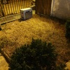 Pasto Natural