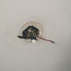 Otros Trabajos Instalación Eléctrica