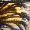 Construir Pared
