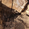 Poda Y Tala De árboles