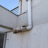 Realizar Control De Plagas