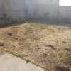 Pasto Natural