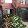 Retiro de Escombros