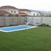 Pasto Natural