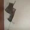 Arreglar walking closet
