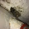 Pequeños Trabajos Albañilería