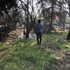 Poda Y Tala De árboles