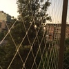 Poda Y Tala De árboles