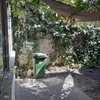 Mantener Jardín