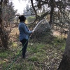 Poda Y Tala De árboles