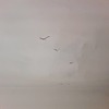 Pequeños Trabajos Techos