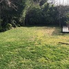 Pasto Natural
