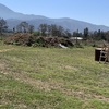 Retiro de Escombros