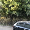 Retiro de Escombros