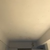 Pintar Interior Casa