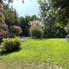Pasto Natural
