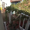 Ampliar Casa