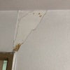 Pintar Departamento