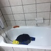 Remodelar Baño