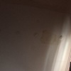 LImpieza de canaletas