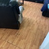 Remodelación Parcial Casa