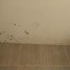 Pintar Departamento