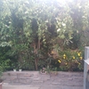 Mantener Jardín