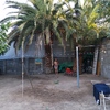 Poda Y Tala De árboles