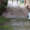 Pequeños Trabajos Albañilería