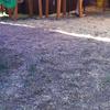 Remodelación Parcial Casa