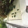 Construir Pared