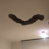Remodelación Parcial Casa