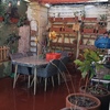Pintar Interior Casa