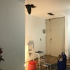 Pintar Departamento