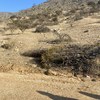 Nivelar Terreno